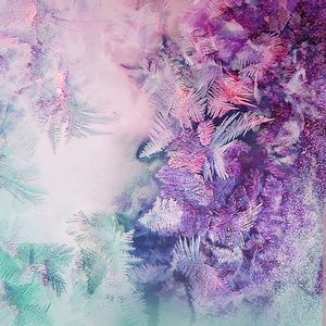 Meet your Posher, Chandra